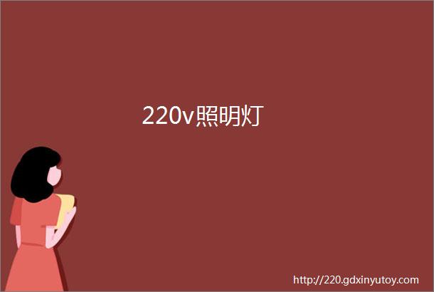 220v照明灯